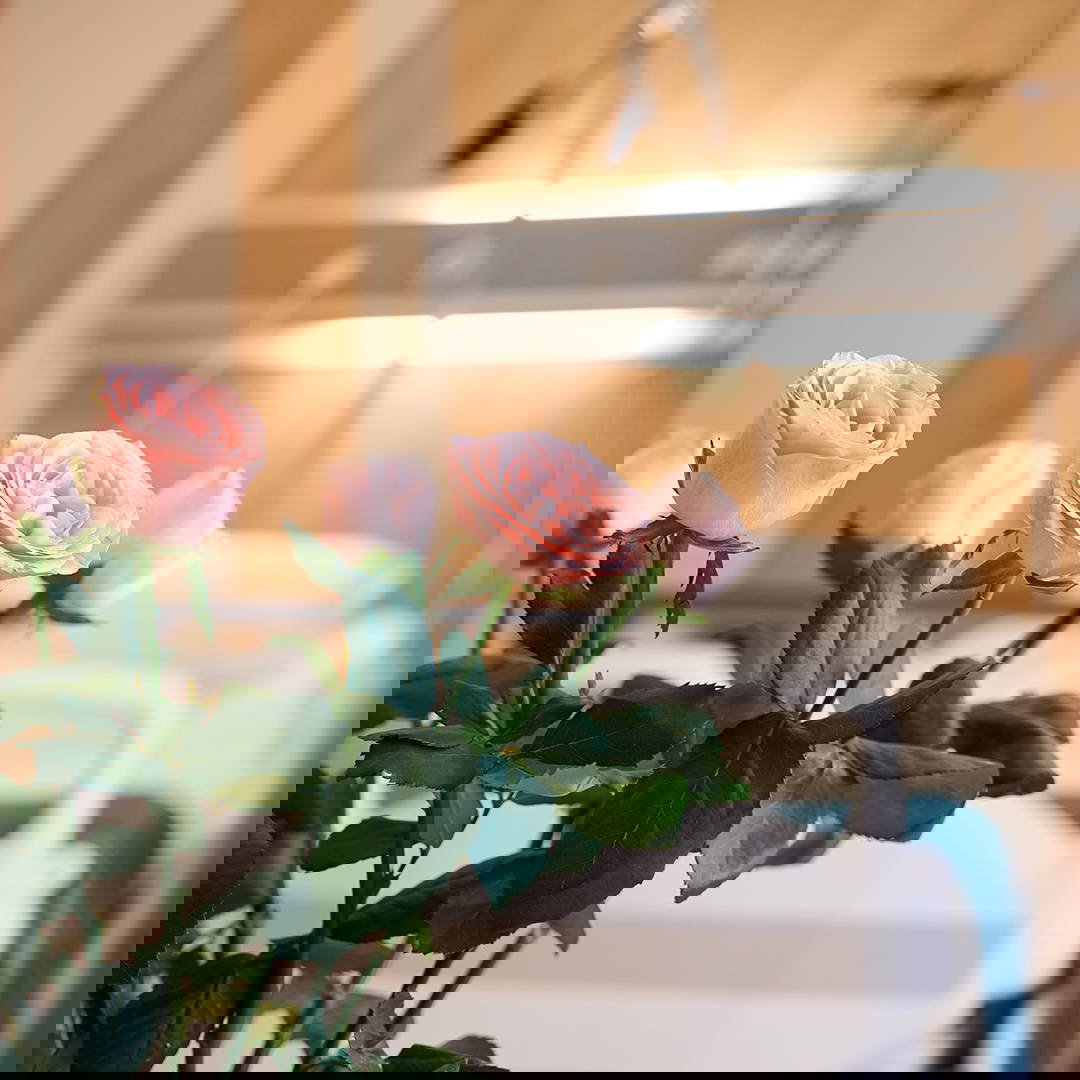 passing-away-hospital